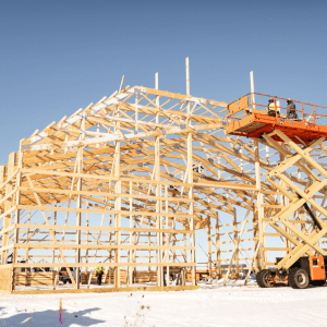 untitled (1024 x 1024 px) (2)